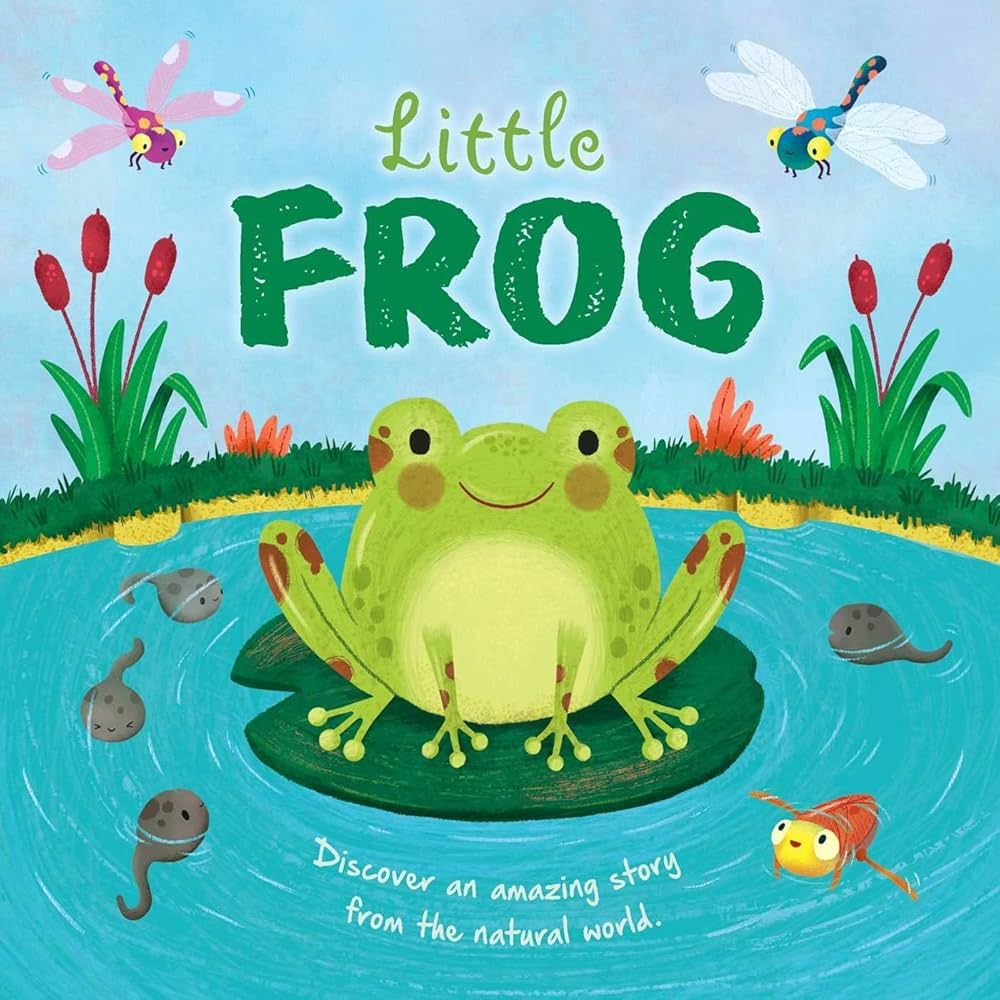 Little Frog