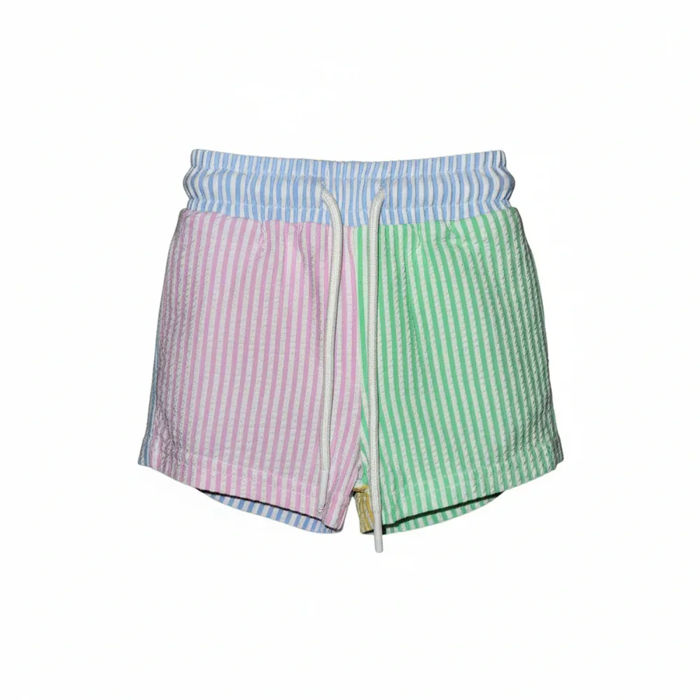 Multi Stripe Boys Swim Trunk w/Liner