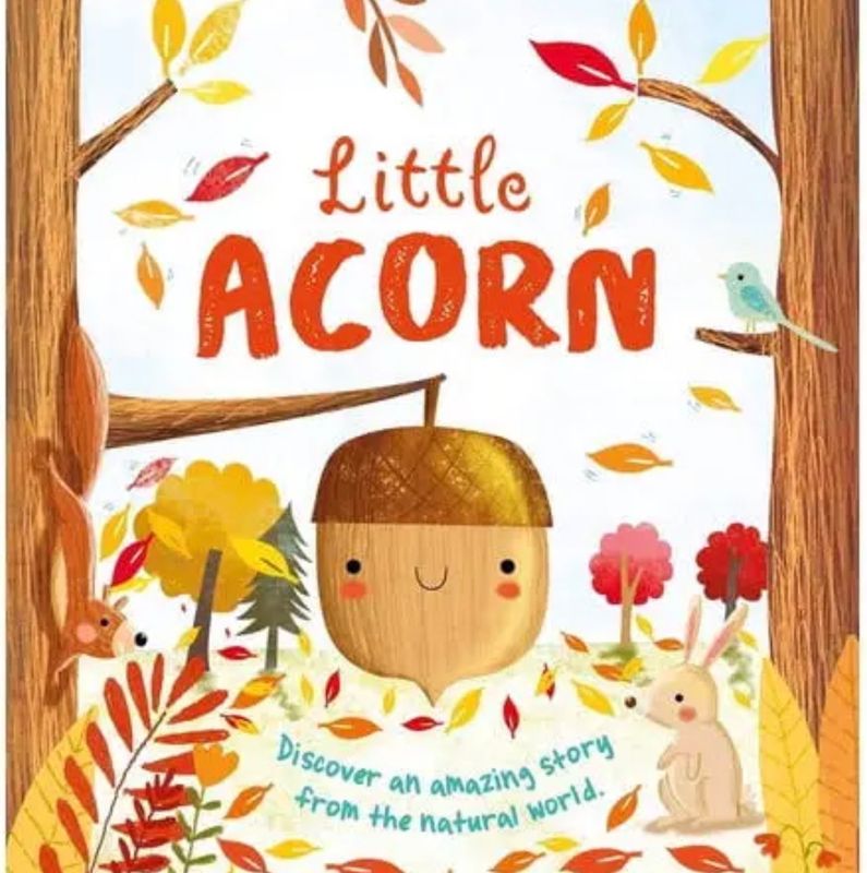 Little Acorn