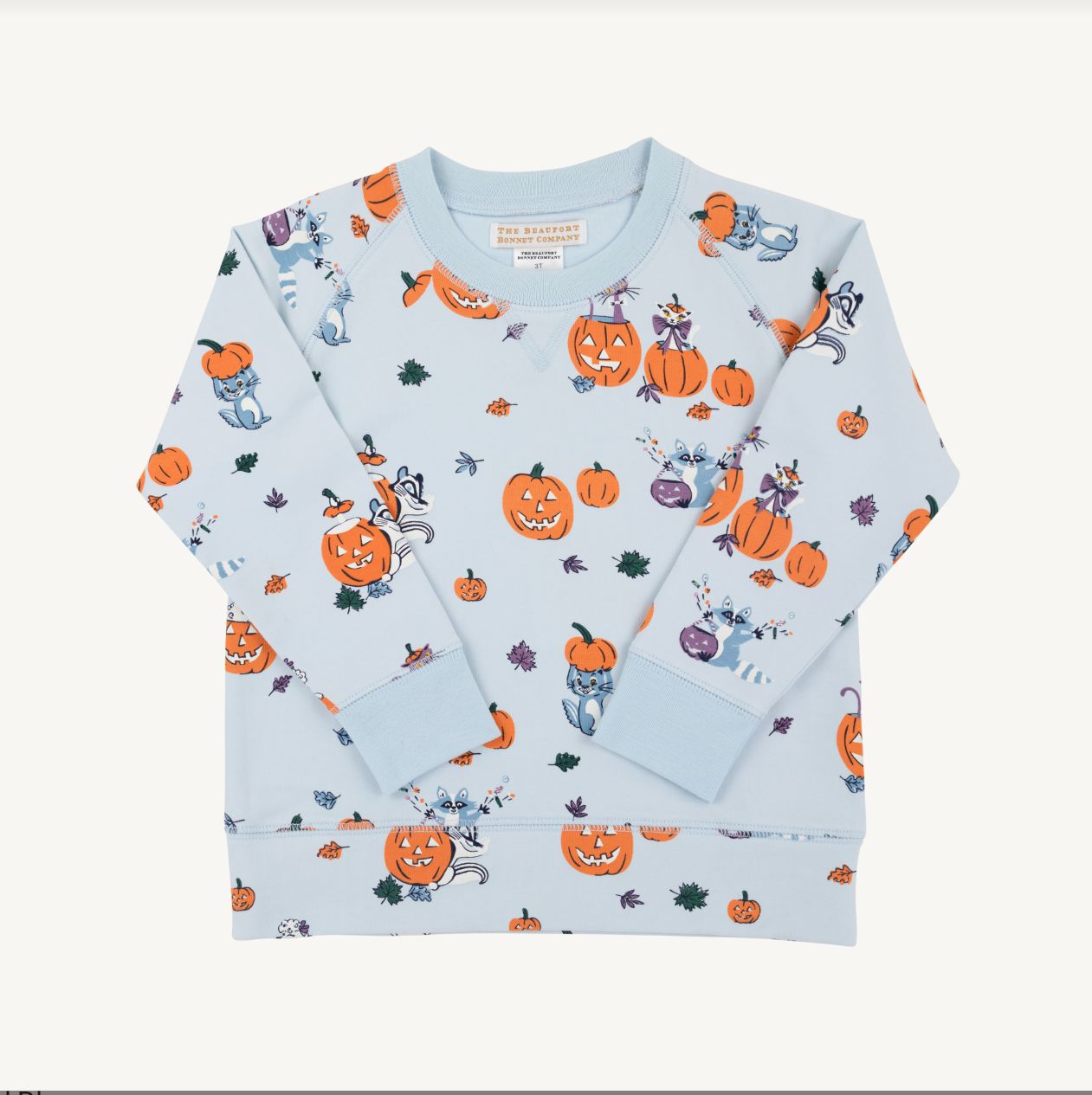 Cassidy Comfy Crewneck in Candy and Critters