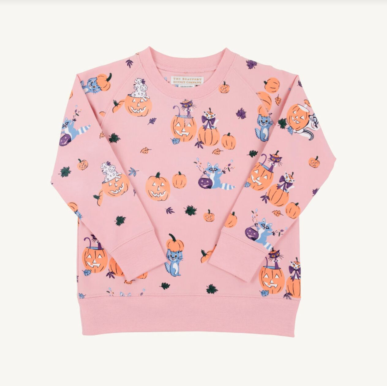 Cassidy Comfy Crewneck in Candy and Critters