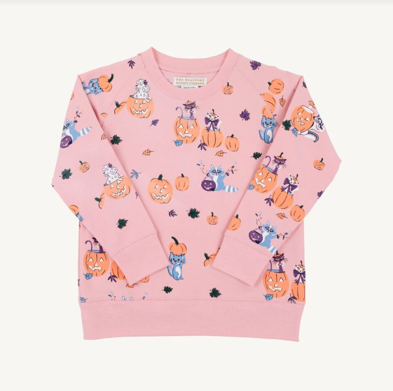 Cassidy Comfy Crewneck in Candy and Critters