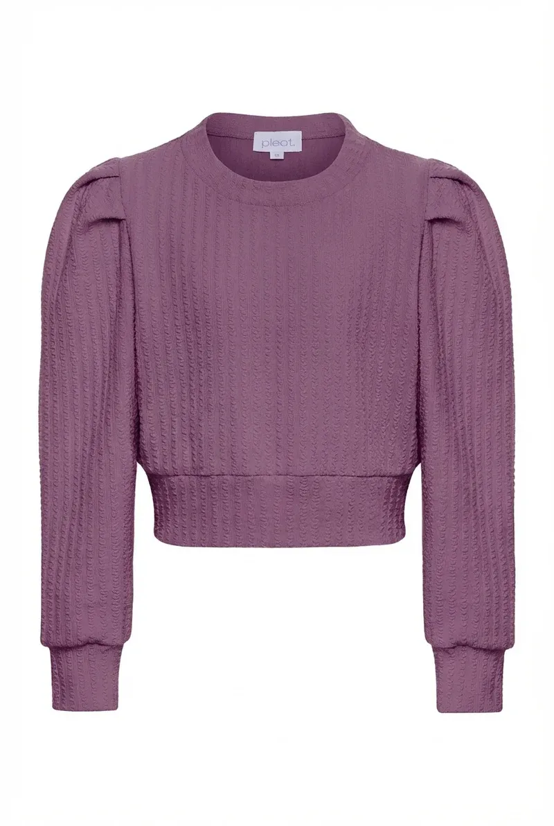 Jane Sweatshirt in Textured Plum
