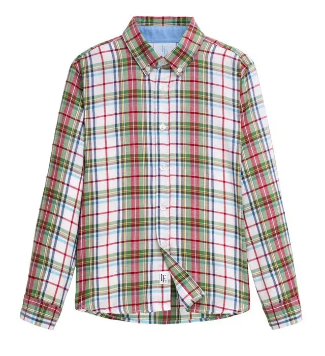 Button Down Shirt in Douglas Plaid