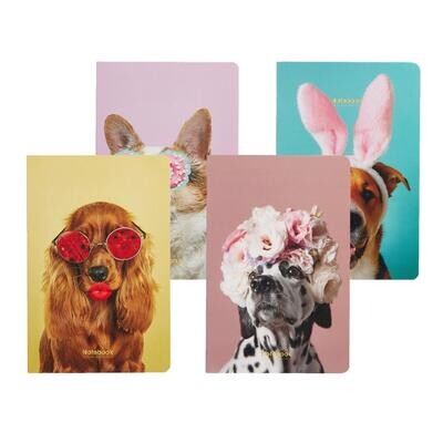 Messy Pets - Set of 4 Softbound Lined Journal A5 Notebook