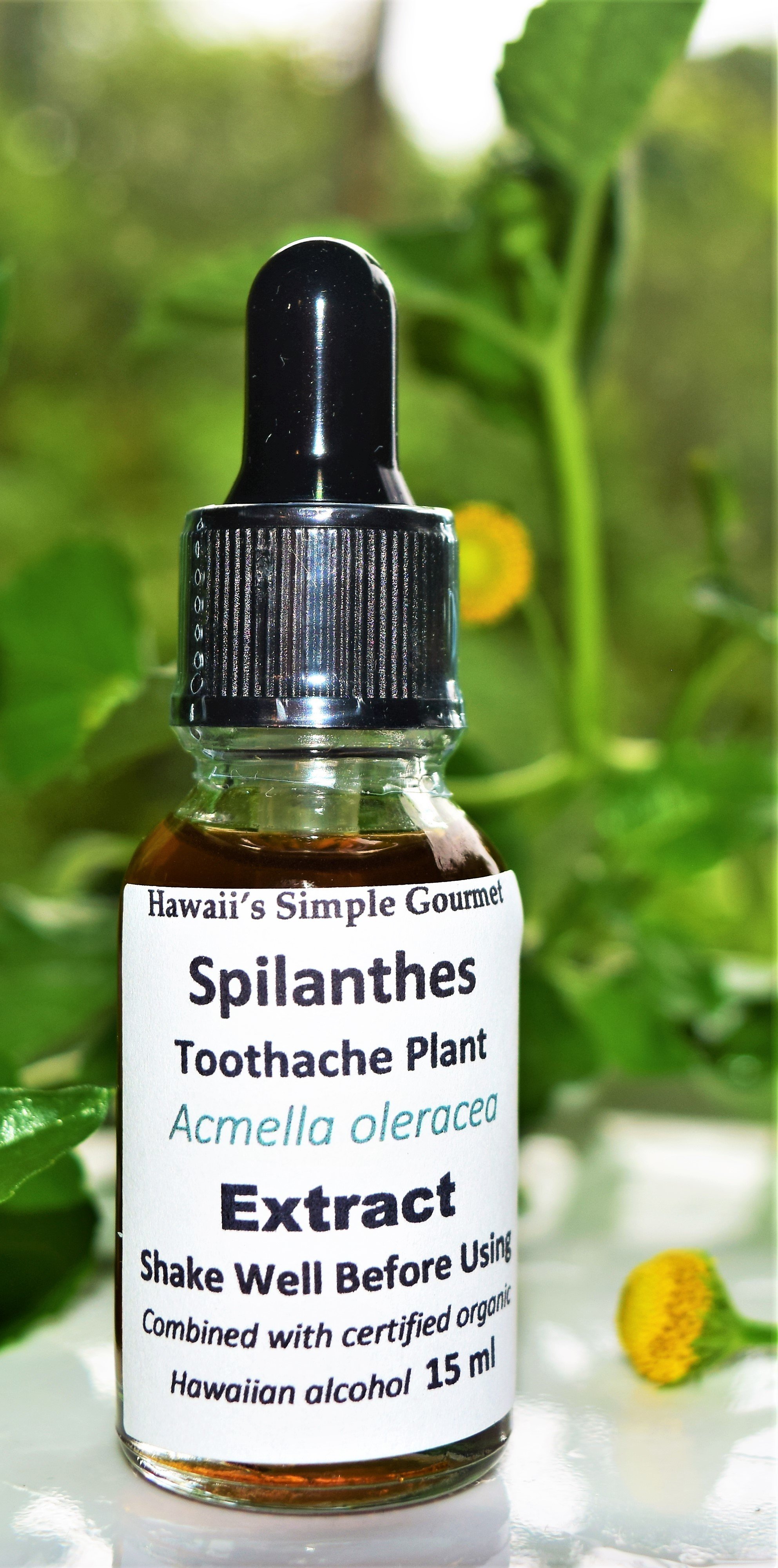 Toothache / Spilanthes Tincture