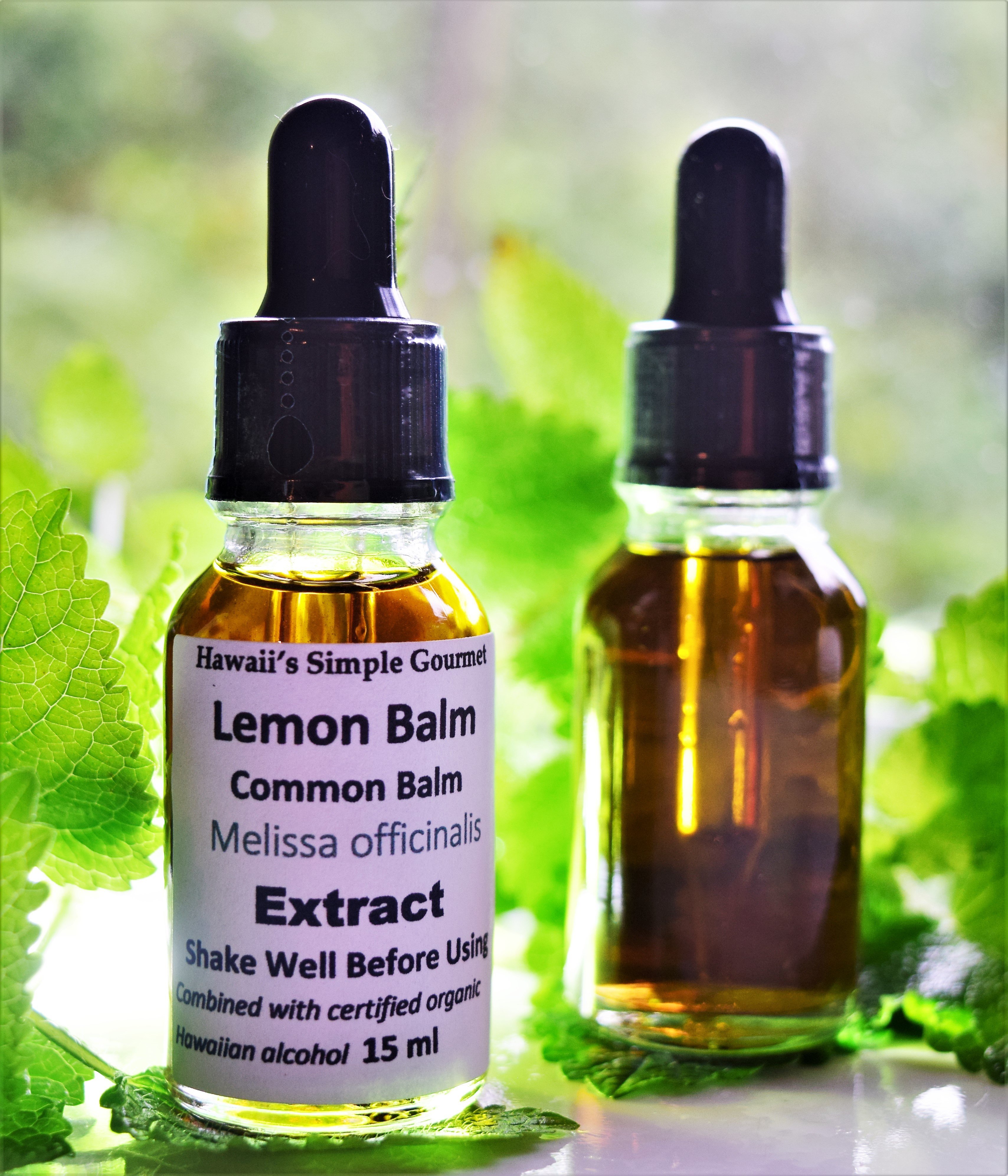 Lemon Balm Extract
