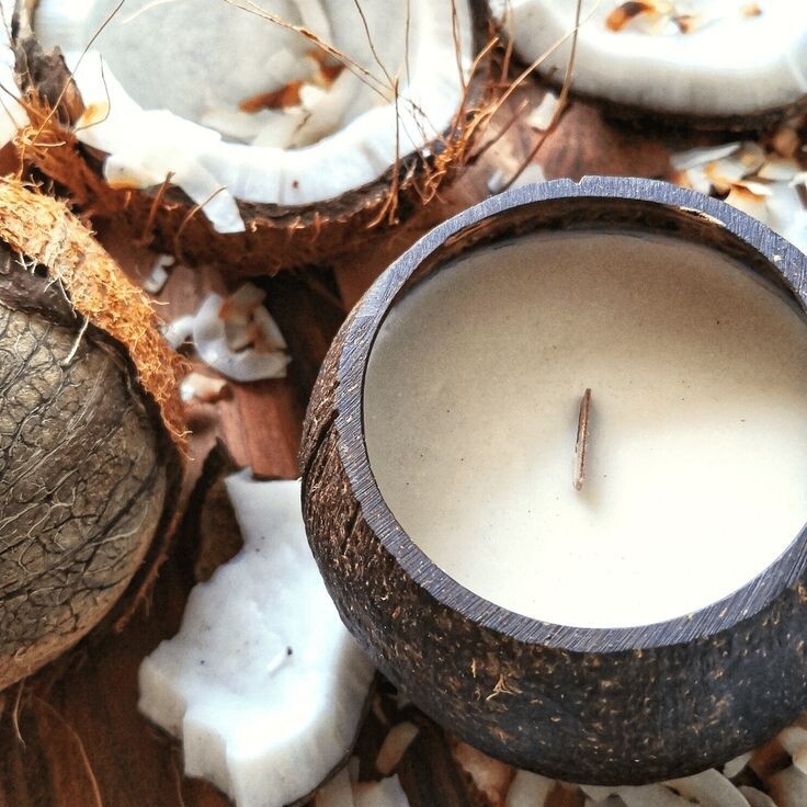 Coconut woodwick