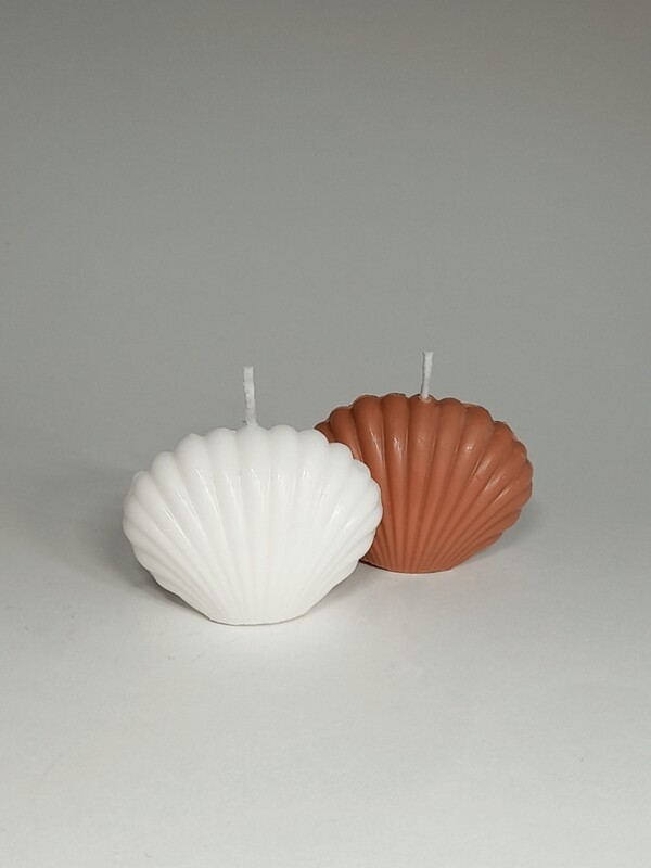 Lite skjell 5 cm
