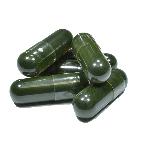 Jiaogulan Kapseln -- Extrakt 30X 500MG --
