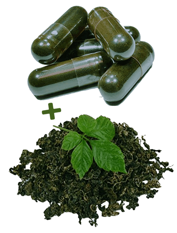 Jiaogulan 100G + 30X 500MG Kapseln