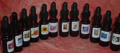 Flower Essences