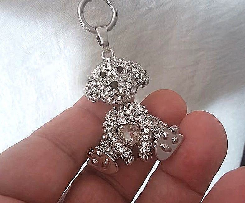 Drolliger Hund mit Steinen besetzt