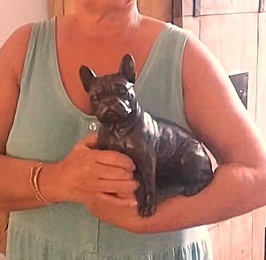 TOP ANGEBOT!! Bronze Figur, französische Bulldogge, Hund, Bulldoggen, Skulptur TOP ANGEBOT!! Bronze Figur, französische Bulldogge, Hund, Bulldoggen, Skulptur