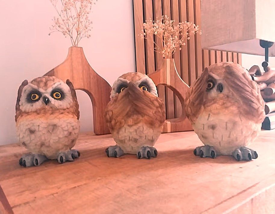3 Eulen, Nichts hören, nichts sagen, nichts sehen, Nachtvogel, Tier