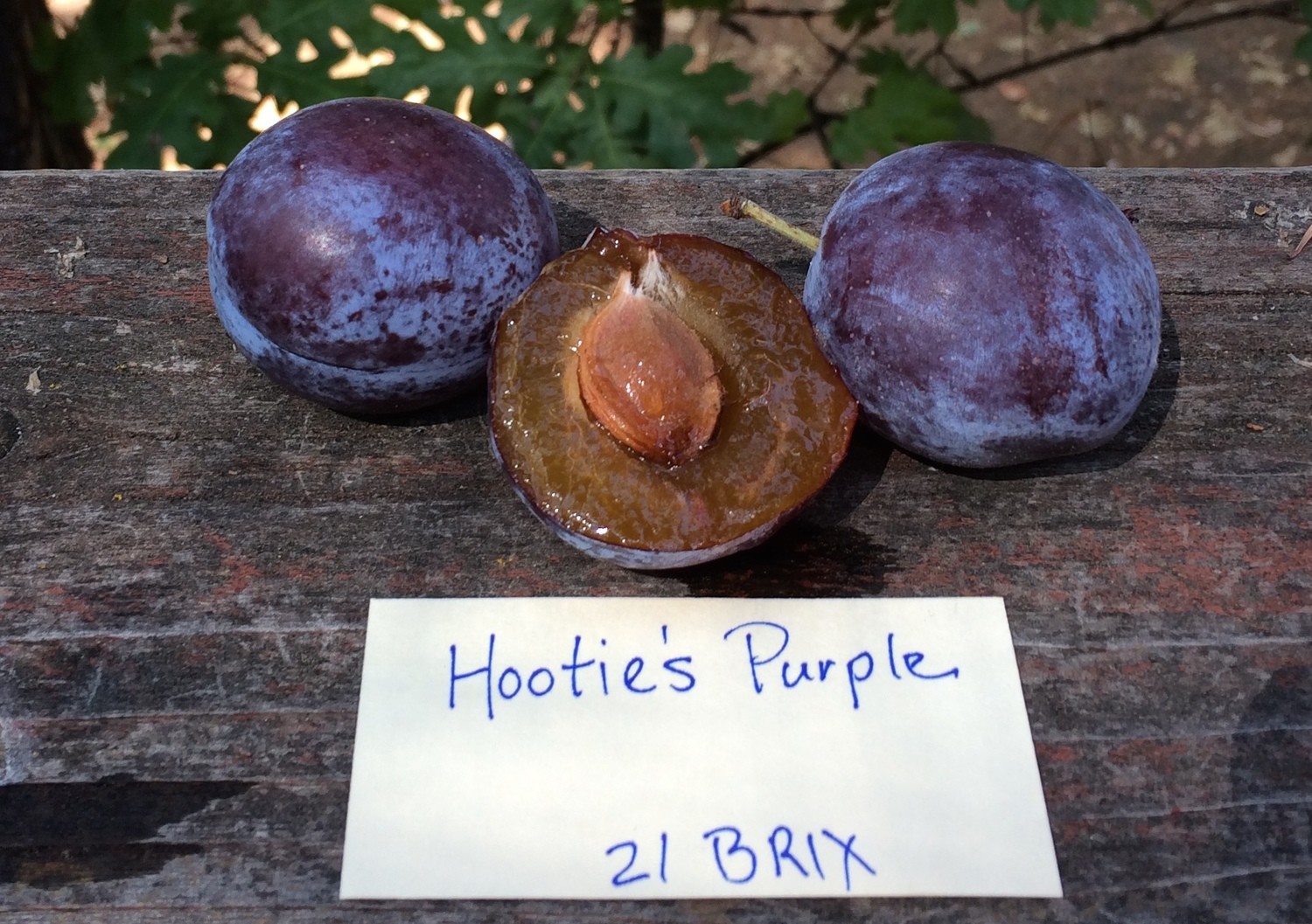 Hootie's Purple Plum