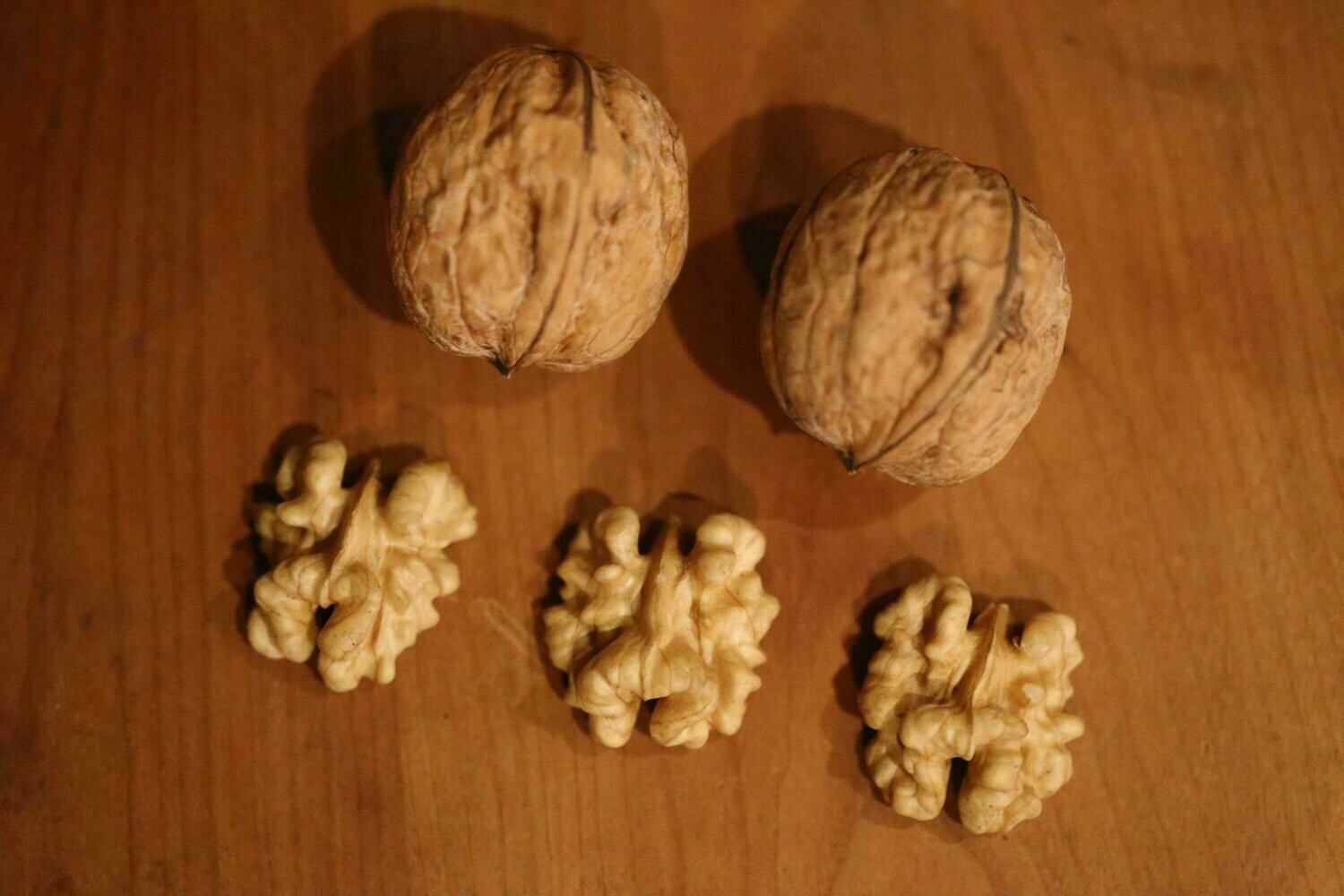 Chaubert Walnut Chaubert Walnut