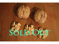 Walnuts