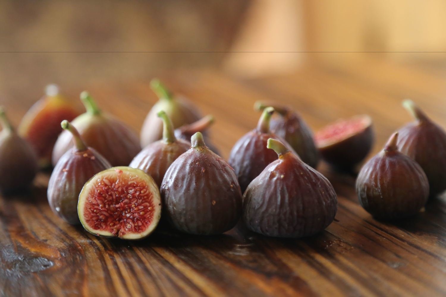 Japanese Fig Japanese Fig