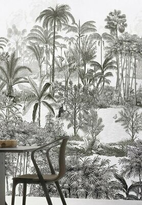 Panoramique  Amazone ISIDORE LEROY