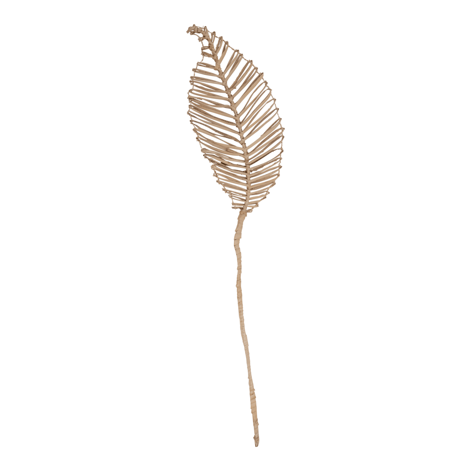 Feuille décorative URBAN NATURE