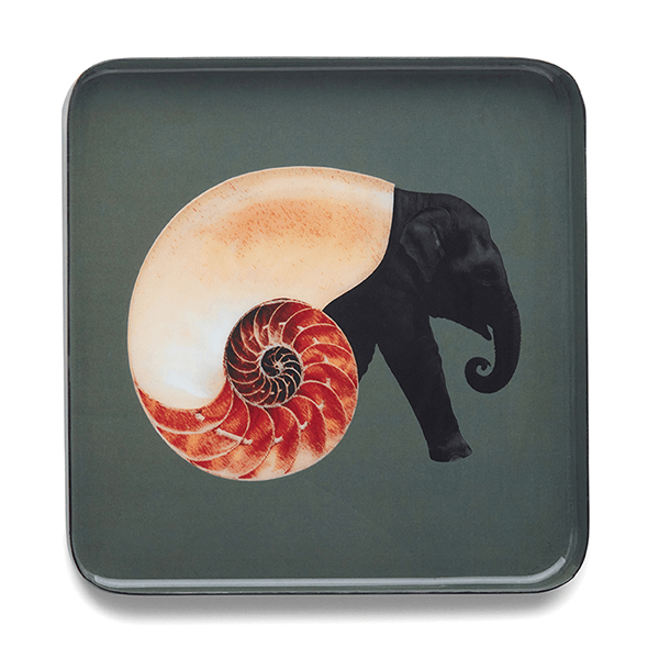 Vide Poche SHELLEPHANT GANGZAI