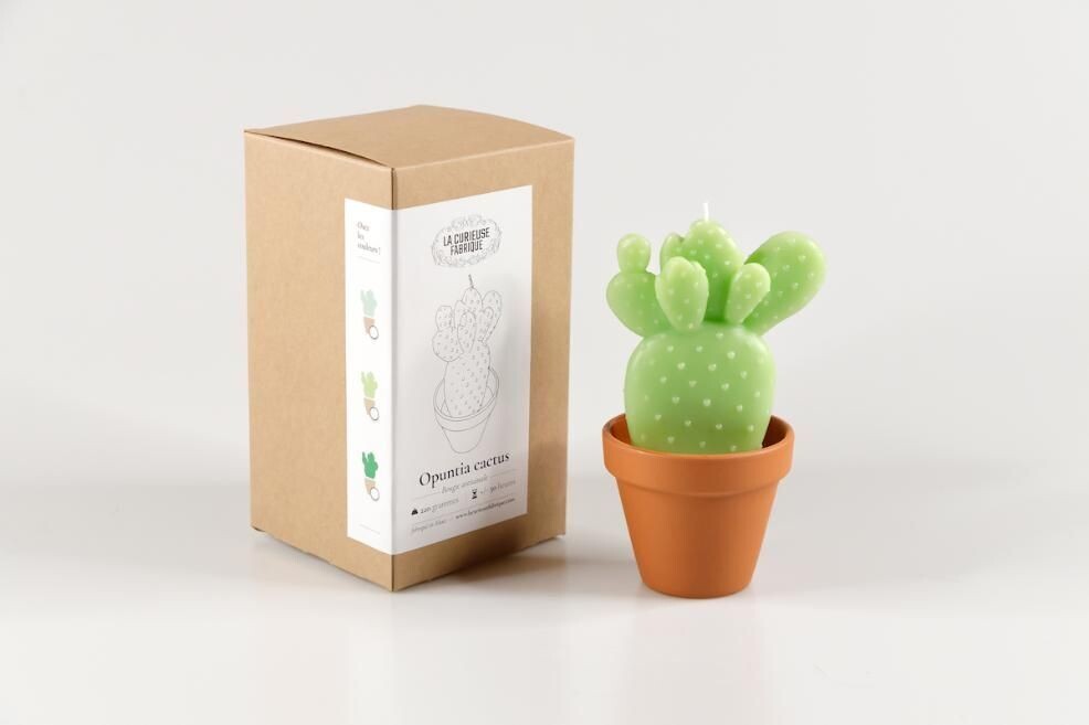 Bougie Opunitia Cactus LA CURIEUSE FABRIQUE, Couleur: Vert clair