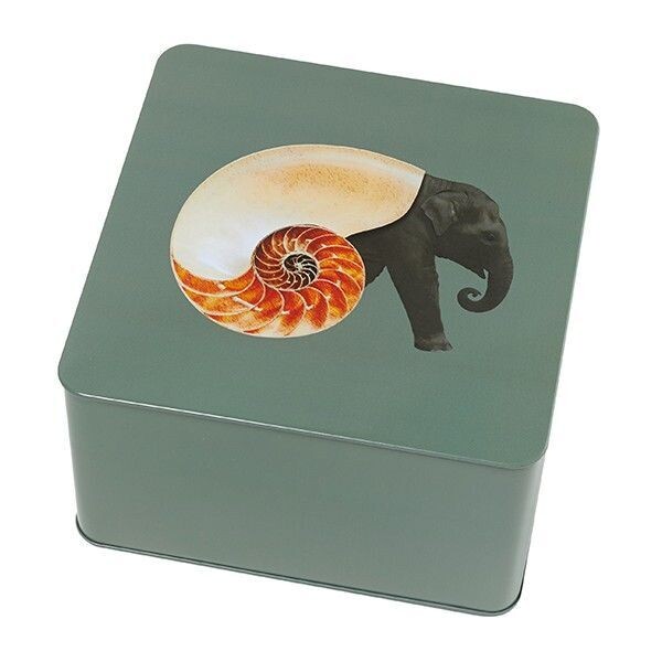 Boîte Carré SHELLEPHANT GANGZAI