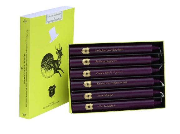Coffret 6 Chandelles Les Messages Inattendus YLUSTRE