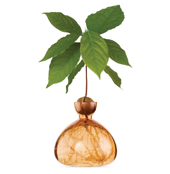 Vase Avocado ILEX STUDIO