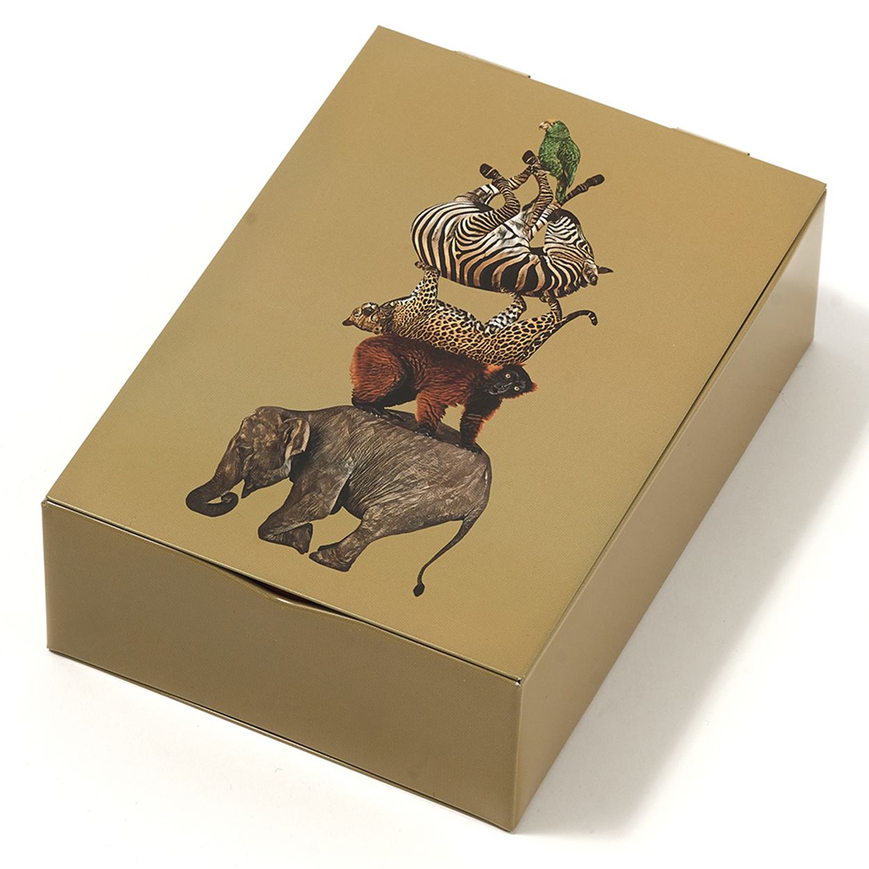 Boîte Rectangulaire CULBUTO GANGZAI