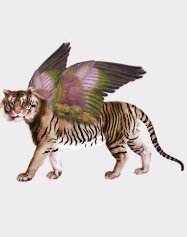 Adhésif A3 San Marco VOGLIO BENE