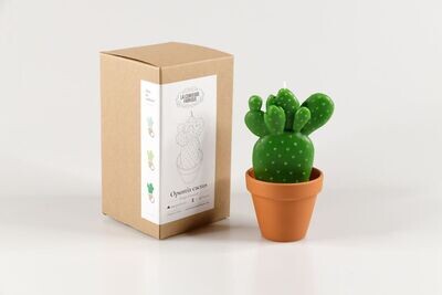 Bougie Opunitia Cactus LA CURIEUSE FABRIQUE Bougie Opunitia Cactus LA CURIEUSE FABRIQUE