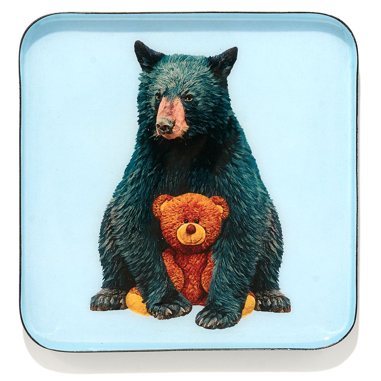 Vide Poche TEDDY GANGZAI