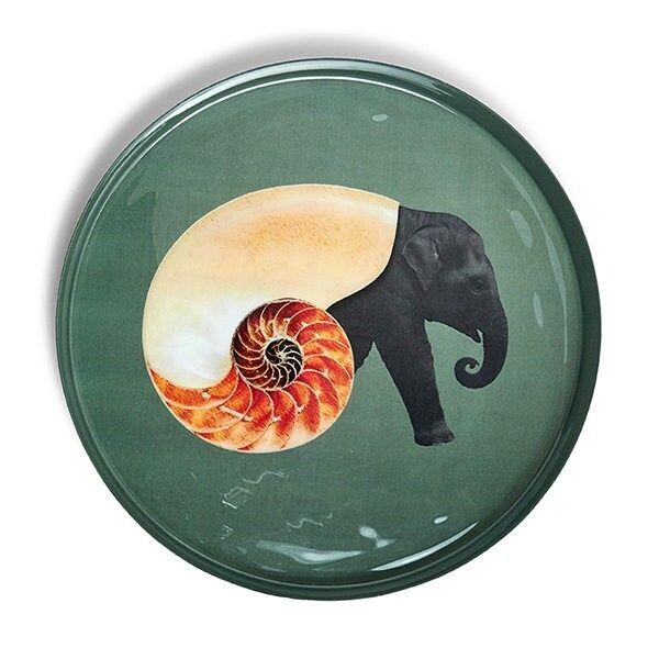 Plateau rond SHELLEPHANT GANGZAI
