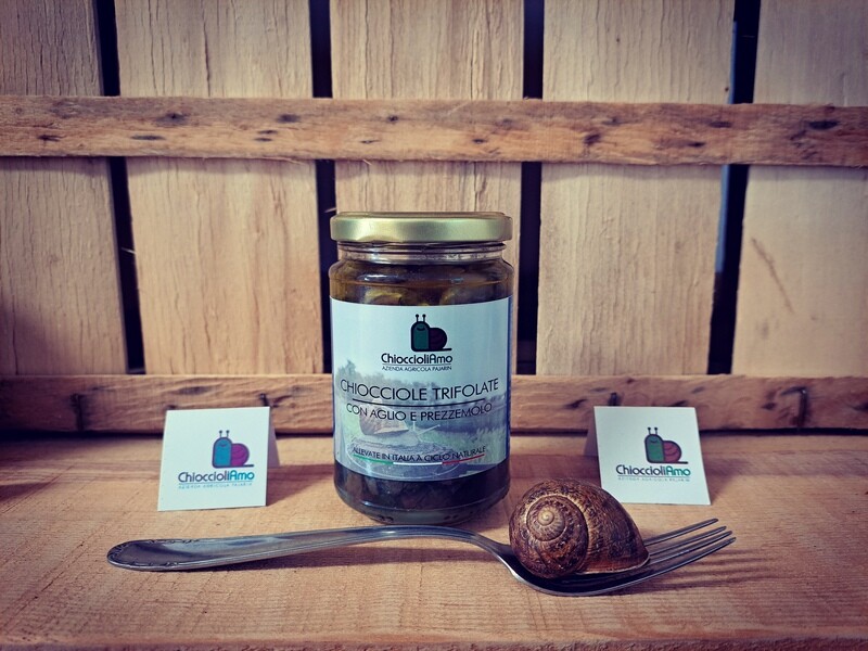 CHIOCCIOLE TRIFOLATE