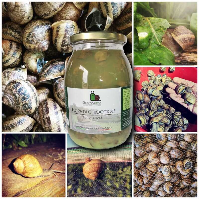 POLPA DI CHIOCCIOLE AL NATURALE 960/580GR