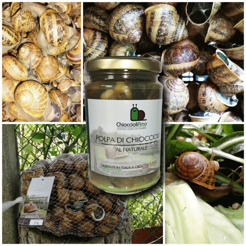 POLPA DI CHIOCCIOLE AL NATURALE 280/135GR