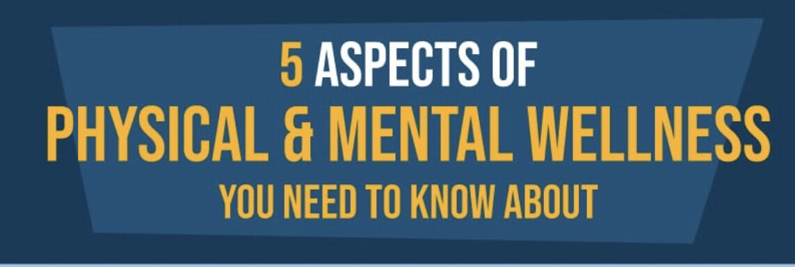 The 5 Key Aspects Of Physical &amp; Mental Wellness (Lunch &amp; Learn Online)