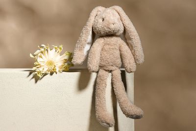 Knuffel konijn - 32 cm