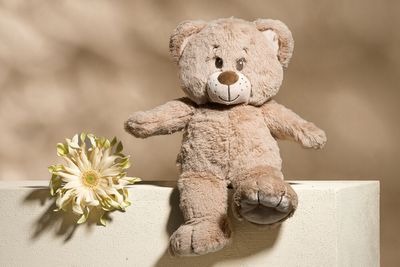 Lieve knuffelbeer - 35cm