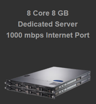 Servidor dedicado de 8 núcleos con puerto de Internet de 1000 mbps