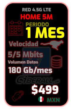 Conectividad SD-WAN (Mes)