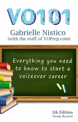 VO 101 The Beginners Guide