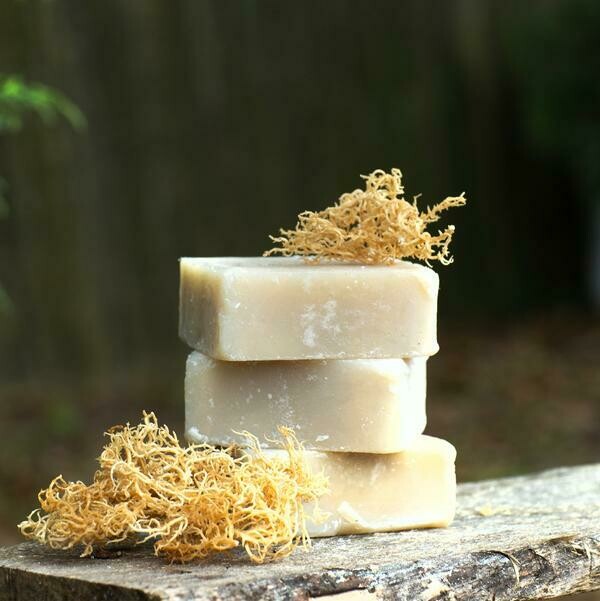 Sea Moss Soap Bar Sea Moss Soap Bar