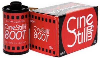 Cinestill 800T (35mm)