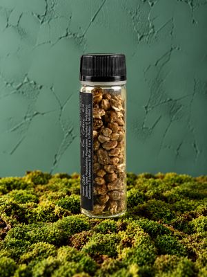 Sun-dried capers from Pantelleria 10 g
