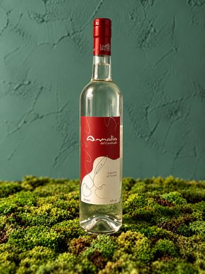 AMMALIA - CHERRY BRANDY (50 cl)