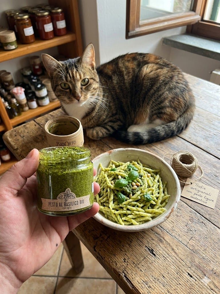 Organic Basil Pesto – 180 g