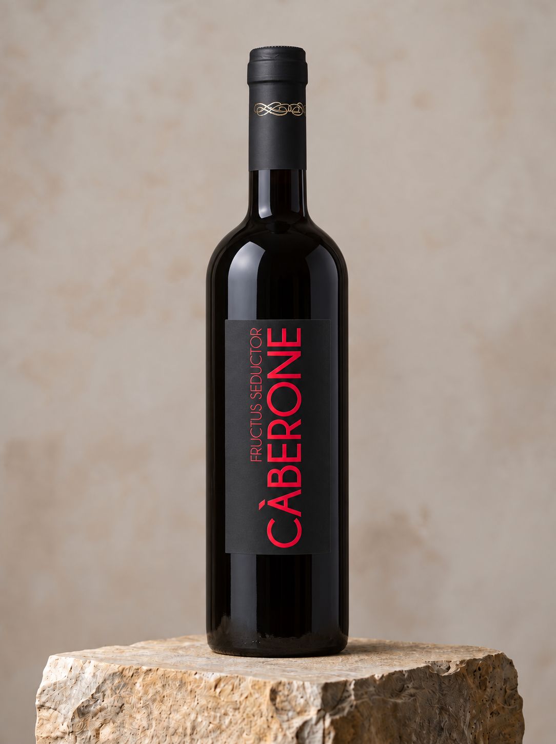 Cà Berone red dry wine obtained from the Drying of the grapes 2023 Cà Berone red dry wine obtained from the Drying of the grapes 2023